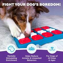 By Nina Ottosson Dog Brick Interactive Treat Puzzle Enrichment Toy Level 2 Intermediate - Dog Brick Red White Blue - View 3