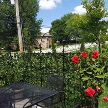 Artificial Ivy Privacy Fence Wall Screen, UV-Anti Faux Greenery Backdrop Ivy Vine Leaf Hedges Fence Panels For Patio, Balcony, Garden, Backyard Indoor Outdoor Green Wall Decor. Two Sizes - 綠色-地瓜葉 - 查看 4