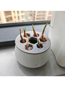 1个大蒜、青葱、家庭园艺、水培、韭菜、大蒜、青葱再生种植箱，黑白盖套装，易于区分，可重复使用，种植量丰富，再生种植箱，操作简便，循环收获，无土水培箱，四季皆宜，可重复使用 - 多色的 - 查看 2