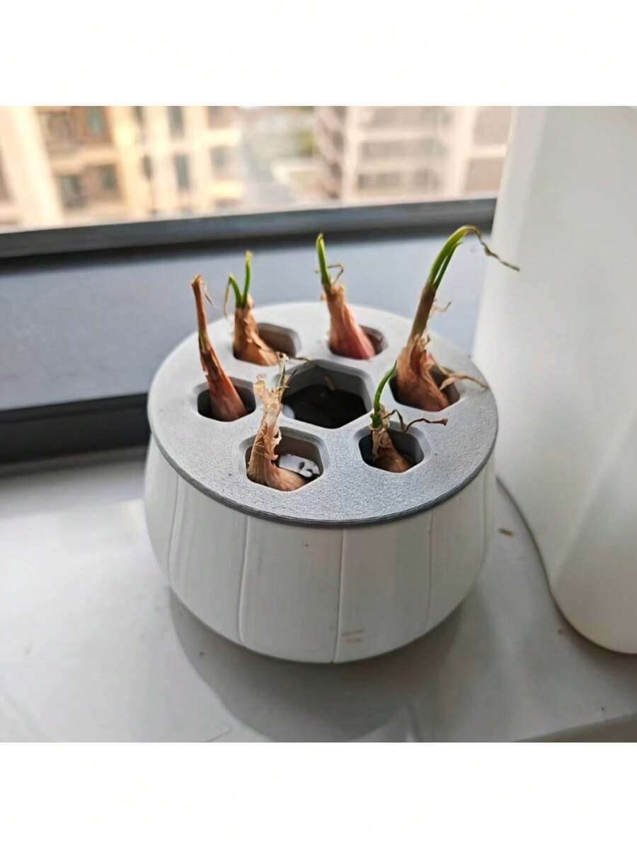 1个大蒜、青葱、家庭园艺、水培、韭菜、大蒜、青葱再生种植箱，黑白盖套装，易于区分，可重复使用，种植量丰富，再生种植箱，操作简便，循环收获，无土水培箱，四季皆宜，可重复使用