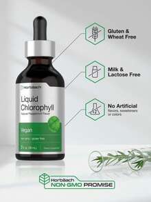 Horbäach Liquid Chlorophyll Drops | 2 Oz | Vegan, Non-GMO, And Gluten Free Formula | Natural Peppermint Flavor - 140克 - 查看 3
