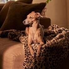 UnHide Lil' Pet Marsh - Manta de piel sintética para mascotas extra suave ligera lavable comodidad y protección para sofá caja o cama leopardo - Leopardo - Ver 5