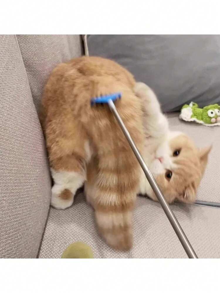 Outil de massage et de grattage extensible pour chat/chien, jouet amusant pour animaux de compagnie : bâton de grattage extensible, manche long pour le massage, fournitures interactives d'auto-divertissement pour chats, jouet anti-ennui pour chat/animal de compagnie - Voir 1