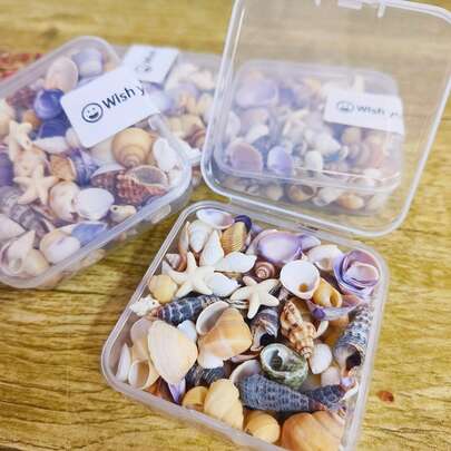 1/2 Box Dreamy Seashell Craft Supplies, Contains 2 Resin Starfish- DIY Materials For Handmade Albums, Seashell Art, Home & Aquarium Decor, Lovely Gift For Family And Friends