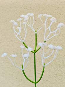 1pc French Retro Almond Leaf Vase, Niche Design, Unique Art Vase, Homestay Living Room Craft Ornament. - Vase - View 9