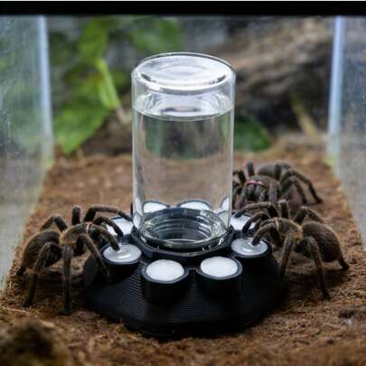 Multi-Hole Insect Micro Waterer, Jumping Spider Automatic Feeder, Small Animal Enclosure Accessories, Suitable For Jumping Spiders, Wolf Spiders, Ants, And Other Small Creatures
