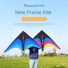Easy To Fly Large Delta Kites Long Tail Good Flying Adult Kite 100 Meter Kite Line Ripstop 1.1m Flying Plastic Flying Kite Outdoor Sports - Multicolor - View 10
