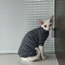 Soft & Skin-Friendly Hairless Cat Thermal Undergarment, Suitable For Domestic Cats - Black - View 6