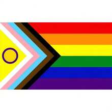 Bandera LGBTQ+ arcoíris de 3x5 pies - Impresión de poliéster de doble cara - ¡Celebra el Orgullo con la bandera del arcoíris en progreso! Ideal para decoraciones del Día del Orgullo bisexual, lesbiana, pansexual, transgénero, no binaria, asexual, intersexual y talla grande. - RB - Ver 17