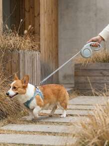 PETSIN 1pc 3m/5m Stretchable Pet Leash - Durable ABS Material, Automatic Retractable Dog And Cat Leash, With Comfortable Handle, Suitable For Outdoor Walking, Pet Accessory Ergonomic Handle Automatic Retractable Leash, Small And Portable Pet Leash For Going Out - Multicolor - View 4