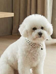 PETSIN Lionheart Glory 情人节狗狗项圈 爱心印花狗狗项圈 可爱狗狗项圈 春季男女宠物礼物 - 白色 - 查看 3