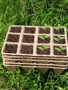 Paper Pulp Seedling Cups & Trays, One-Time Use Round/Square Pulp Cups For Succulents, Cuttings, Orchids And Other Plants - 12 Grids - View 5