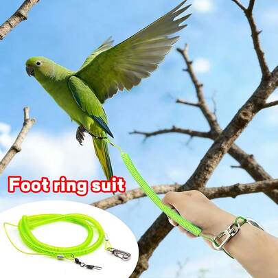 2m/4m/6m Ganzjährig automatisch einziehbare Stahlseil Vogelleinen-Set, mit eingebautem hochelastischem Stahlseil für Vogel-Outdoor- und Innenflugtraining