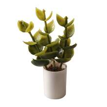 1件 1:12 比例迷你植物盆栽裝飾品，娃娃屋 1:12 比例 OB11 娃娃屋花卉裝飾，汽車儀表板裝飾品，逼真植物裝飾品，娃娃屋裝飾品，微縮場景攝影道具，迷你植物綠植盆栽迷你模型 1:12 比例娃娃屋 OB11 BJD 遊戲場景 - 5款掌葉 - 查看 12