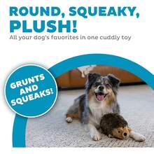 Outward Hound Hedgehogz Stuffed Dog Toy – Soft Plush Hedgehog, Grunts & Squeaks, Medium, 9" X 5" X 6.5" - 狗狗毛絨刺猬 - 查看 2