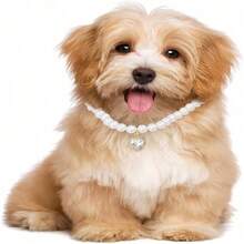 2pcs Adjustable Faux Pearl Pet Collar, Luxury Design, Fashionable, Suitable For Small/Medium Dogs & Cats - Multicolor - View 8