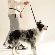 6-In-1 Multi-Functional PVC Hands-Free Dog Leash For Walking, Running, Hiking And Training - Multicolor - View 2