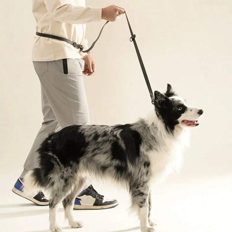 6-In-1 Multi-Functional PVC Hands-Free Dog Leash For Walking, Running, Hiking And Training - Multicolor - View 1