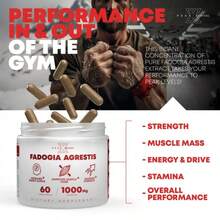 Miriyalyad Peak Revival-X Fadogia Agrestis 1000mg – Natural Testosterone Support For Men | Muscle Growth, Strength & Energy | Vegan Capsules - 1件 - 查看 6