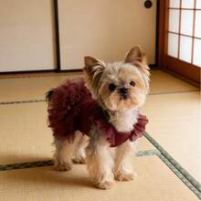 宠物狗和猫荷叶边袖公主裙，适合贵宾犬、比熊犬、博美犬、马耳他犬、约克夏犬等小型犬，生日派对服装，春夏季 - 粉色 - 查看 10