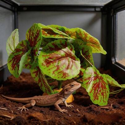 Reptile Box Feeding Box Landscaping Size Bark Spider Scorpion Guardian Lizard Tortoise Escape House Climbing Pet Fake Plant