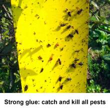 20Pcs Yellow Sticky Fly Trap Paper Fruit Flies Insect Aphids Glue Catcher Bug - A - View 6
