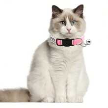 Customizable Cat Collar With Bell - Personalized Name And Phone Number, Safety Buckle Anti-Lost Collar For Cats And Kittens - Multicolor - View 6