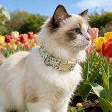 柔软亲肤的幸运四叶草宠物项圈，适合遛狗和遛猫 - 綠色 - 查看 6