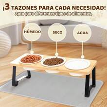 SlowTon Cuenco de Cerámicas Antideslizante para Gatos Perros 3PCS Mascota Plato Inclinada de 15°Protege Columna Vertebral del Mascotas Con Soporte Estable y Comederos de 840ml 3 Piezas+Alfombrilla - 3 Piezas  Alfombrilla - Ver 3