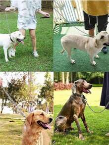 1条 - 120厘米重型防咬狗绳，带皮革手柄，采用防咬金属材质，宠物遛狗绳，经久耐用 - 彩色 - 查看 11