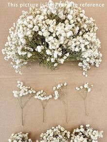 20/50/100/150/300支迷你满天星及其他干花 - 适用于树脂模具工艺品制作，象牙白花束，可用于发饰、婚礼花环、餐桌装饰、家居装饰 - 白綠色(乾燥花) - 查看 10