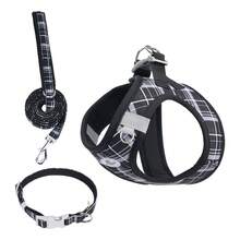 Conjunto de correa para perro con estilo de arnés y color macaron, correa para el cuello de collar pequeño para perro, equipo de paseo - Multicolor - Ver 26