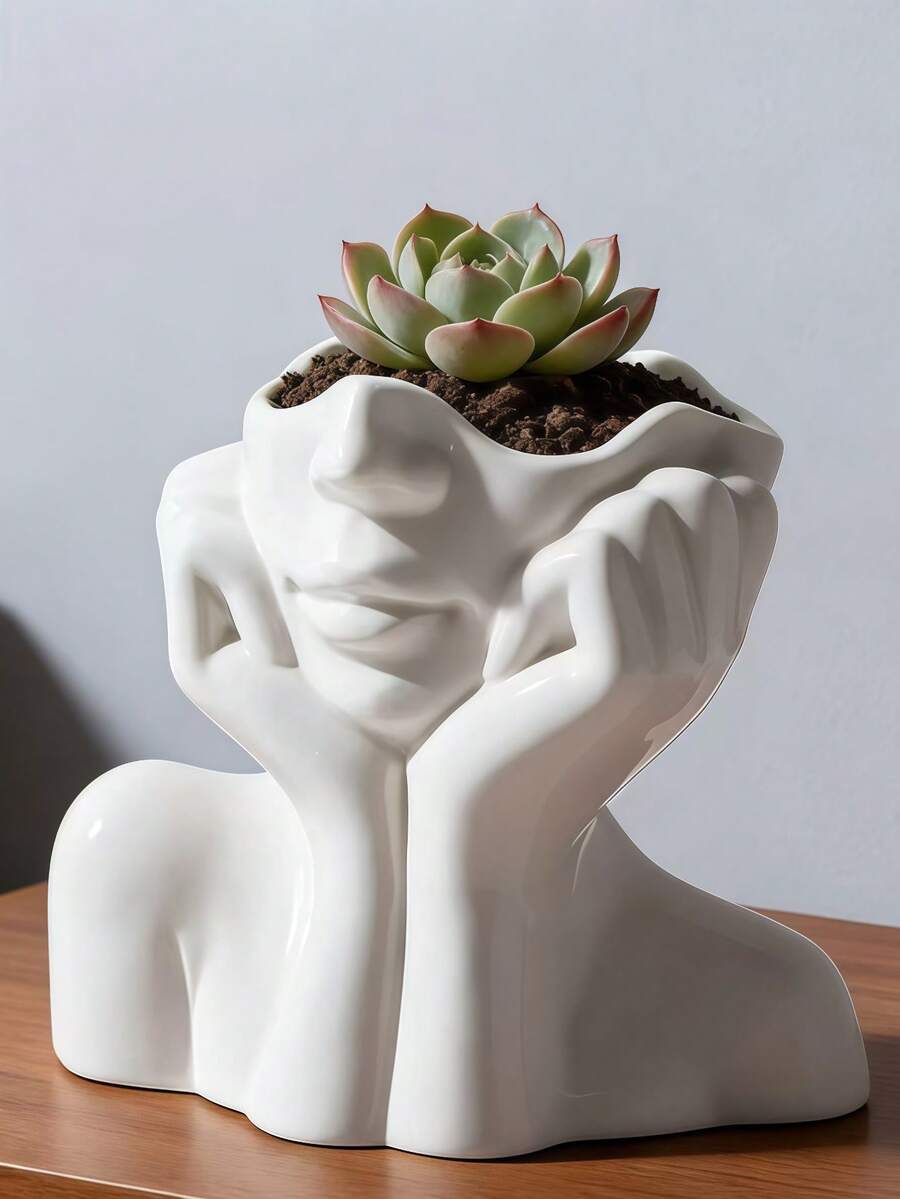 1pc Minimalist Abstract Human Face Flower Pot, Creative Cute Cat Tail Flower Pot, Indoor Desktop Green Plant Flower Pot - Flowerpot - View 1