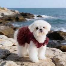 宠物狗和猫荷叶边袖公主裙，适合贵宾犬、比熊犬、博美犬、马耳他犬、约克夏犬等小型犬，生日派对服装，春夏季 - 粉色 - 查看 7