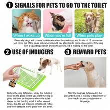 Pet Potty Training Spray, Pet Toilet Training Spray For Dogs And Cats - 30ml - View 3
