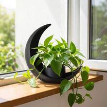 Crescent Moon Planter Pot, Modern Black Moon-Shaped Planter For Succulents, Cactus & Small Indoor Plants, Minimalist Desktop Plant Pot For Home Office Shelf Decor - A - 查看 6
