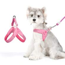 小型犬露背式胸背帶，易穿脫可調節頸部與胸部背心式胸背帶，柔軟加厚內裡附牽繩扣，適用於中小型犬，適合日常散步與訓練，可搭配牽繩使用 - 彩色 - 查看 6