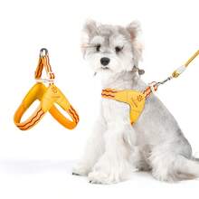 小型犬露背式胸背帶，易穿脫可調節頸部與胸部背心式胸背帶，柔軟加厚內裡附牽繩扣，適用於中小型犬，適合日常散步與訓練，可搭配牽繩使用 - 彩色 - 查看 9