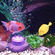 1/2/4/6/10个装防水LED灯，16种颜色变换遥控水下灯，适用于水族箱、花瓶、浴缸、热水浴缸、万圣节、圣诞节、游泳池和派对装饰 - 白色 - 查看 9