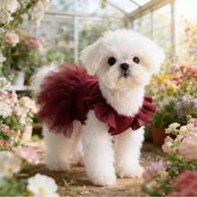Pet Dog & Cat Ruffled Sleeve Princess Dress, For Small Dogs Like Poodle, Bichon Frise, Pomeranian, Maltese, Yorkshire Terrier Etc., Birthday Party Outfit, Spring/Summer - Pink - View 13