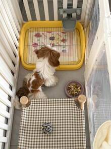 1个高边防溅防踩踏宠物狗厕所，室内训练小型/中型犬便盆，易于清洁，保持家居整洁 - 查看 11