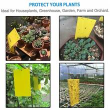 20Pcs Yellow Sticky Fly Trap Paper Fruit Flies Insect Aphids Glue Catcher Bug - A - View 3