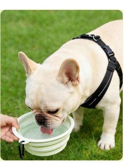 1 pieza Tazón plegable y portátil para mascotas con hebilla, adecuado para actividades al aire libre, alimentar mascotas y acampar