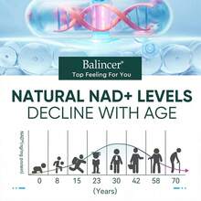 Bcuelov NAD +Resveratrol Formula - Immune System Support For Men And Women - 120 Capsules - 1 Bottle - View 6