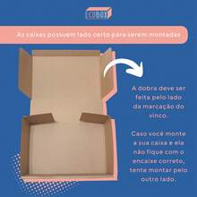 Shoe Boxes - Marrón Mocha - Ver 6