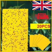20Pcs Yellow Sticky Fly Trap Paper Fruit Flies Insect Aphids Glue Catcher Bug - A - View 1