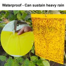 20Pcs Yellow Sticky Fly Trap Paper Fruit Flies Insect Aphids Glue Catcher Bug - A - View 5