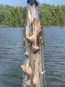 Fishing Net, Suitable For Outdoor Freshwater Fishing - Multicolor - View 2