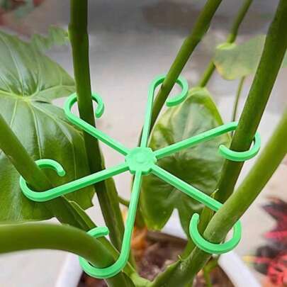 8件套龟壳竹制植物支撑架，防倾倒支架，花园绿植花盆架