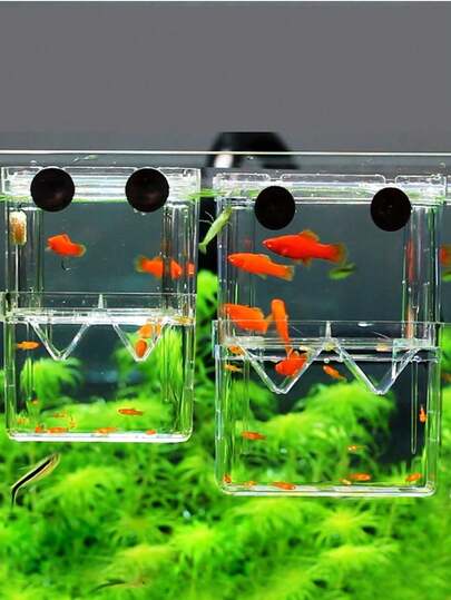 1pc PVC Material Fish Breeding Box, Double-Layer Transparent Fish Breeding Isolation Box, Hatchery Aquarium Spawning Tank